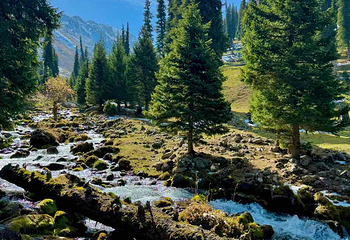 那拉提旅游风景区第 42 张图片