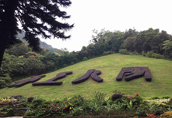 仙湖植物园第 11 张图片