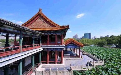 龙潭公园第 4 张图片