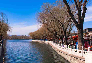 什刹海风景区第 220 张图片