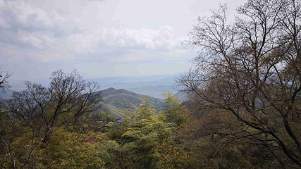 莫干山风景名胜区第 71 张图片