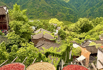 婺源篁岭景区第 80 张图片