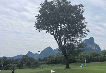桂海晴岚第 80 张图片