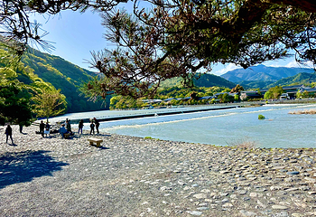 岚山嵯峨野观光小火车第 19 张图片
