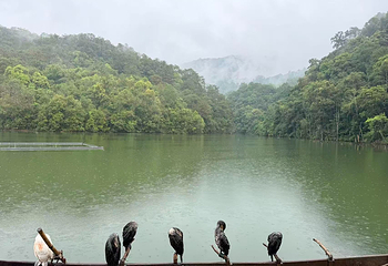 普洱茶马古道遗址公园第 119 张图片