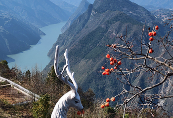 三峡之巅景区第 24 张图片