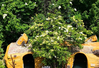 聚龙泉养生会馆第 35 张图片