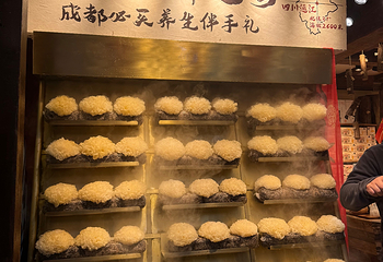 锦里古街第 116 张图片