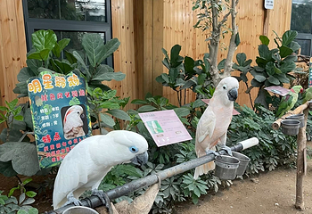 南宫旅游休闲度假区第 108 张图片