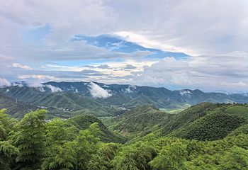 莫干山风景名胜区第 29 张图片