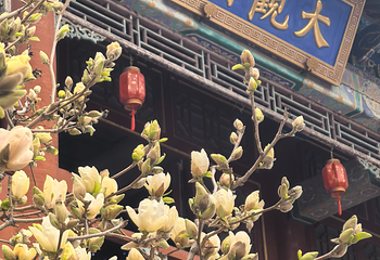 北京大观园第 36 张图片