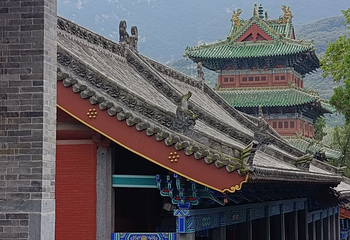 嵩山少林景区第 190 张图片