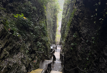 天门山国家森林公园第 579 张图片