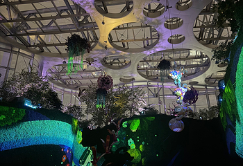 上海温室花园第 319 张图片