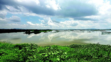 潼湖国家湿地公园