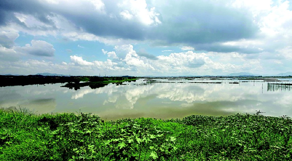 潼湖国家湿地公园