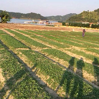 河源万绿谷空中漂流