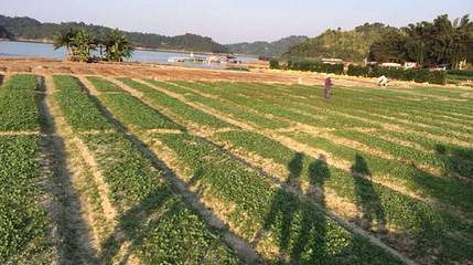 河源万绿谷空中漂流第 1 张图片