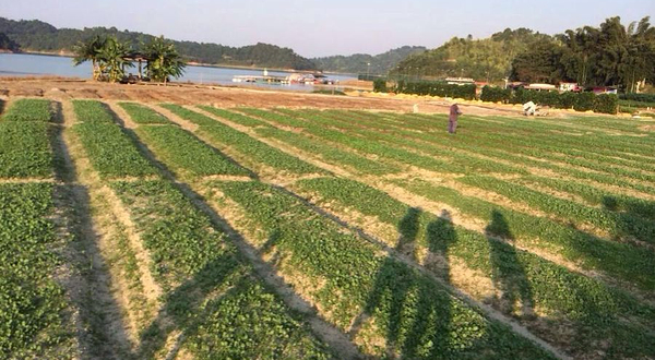 河源万绿谷空中漂流