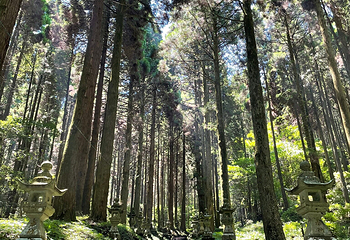 上色见熊野座神社第 6 张图片