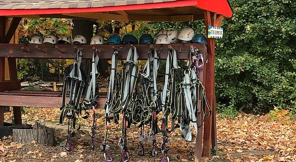 Treetop Trekking Brampton