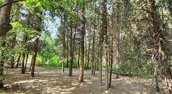 Prokhladnoye Mesto Botanicheskogo Sada