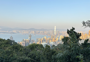 太平山顶第 132 张图片