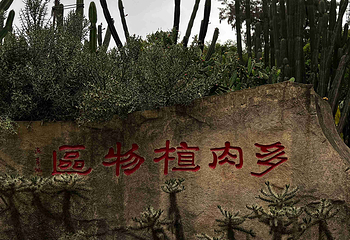 厦门园林植物园第 105 张图片