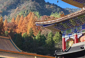 天目山自然保护区第 18 张图片