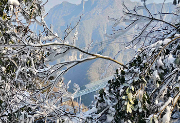 天门山国家森林公园第 317 张图片