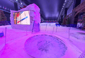 阿尔卑斯雪世界第 404 张图片