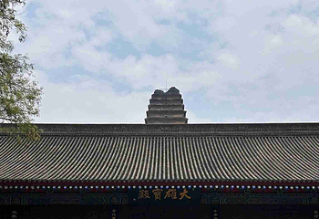 小雁塔遗址公园第 83 张图片