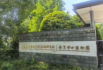 南京中山植物园第 68 张图片