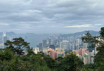 太平山顶第 142 张图片