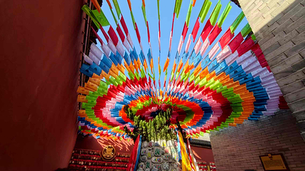 广仁寺第 81 张图片