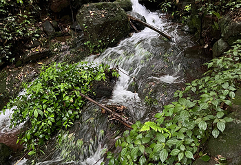 江郎山风景名胜区第 120 张图片