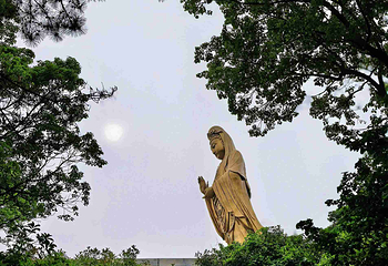 普陀山风景区第 287 张图片