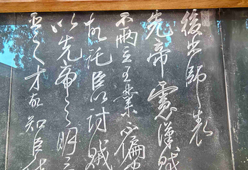 武侯祠第 173 张图片
