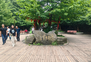 天门山国家森林公园第 425 张图片