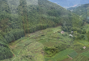 梅花山旅游景区第 60 张图片