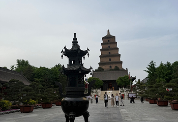 大雁塔第 162 张图片
