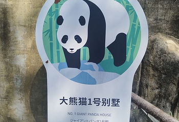 熊猫谷第 154 张图片
