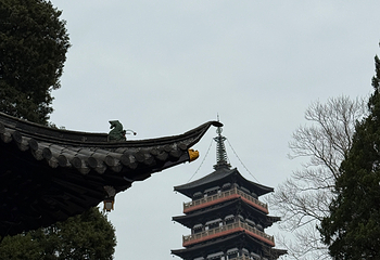 大明寺第 161 张图片