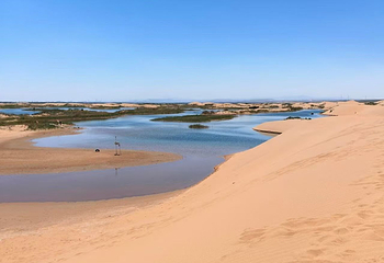乌海湖休闲度假旅游区第 40 张图片