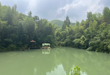 湖州长颈鹿庄园第 49 张图片