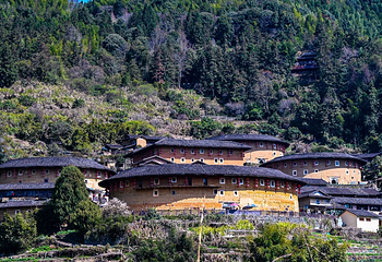 田螺坑土楼群第 49 张图片