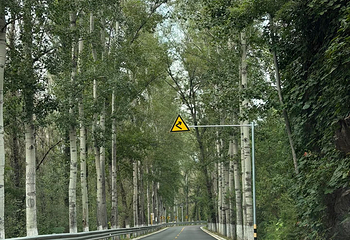 百里山水画廊第 85 张图片