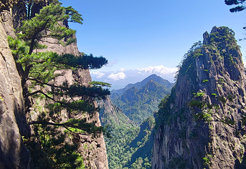 黄山风景区第 244 张图片