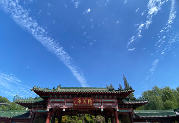 趵突泉景区第 96 张图片