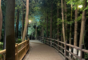 乌镇西栅景区第 128 张图片